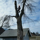 Tree Services of Omaha - Tree Service