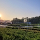 MNI Direct - Rock Hill