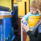Zarminali Pediatrics - Sartell