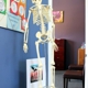 Crystal Chiropractic