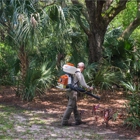 Shoreline Mosquito Defense