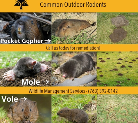 Wildlife  Management Services