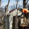 National Tree Experts gallery