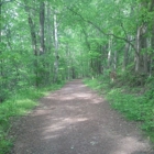 Panther Creek State Park