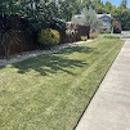 Blue Skies Lawn Services - Lawn Maintenance