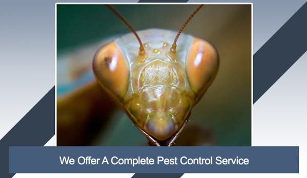 Carters Pest Control - Yarrawonga, VIC. We Offer A Complete Pest Control Service