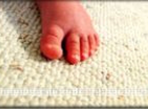 Delmont Carpet Cleaning Inc - New York, NY