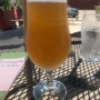 Peace Tree Brewing Co