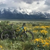 Teton Mountain Bike Tours gallery