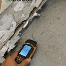 PureAir Mold Testing - Mold Remediation