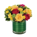 Petal Pusher Florist & Decorators - Flowers, Plants & Trees-Silk, Dried, Etc.-Retail