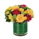 Chapel Hill Florist - Florists