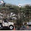 Evergreen Tree Service gallery