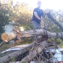 Big Bend Tree Service - Tree Service