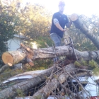 Big Bend Tree Service