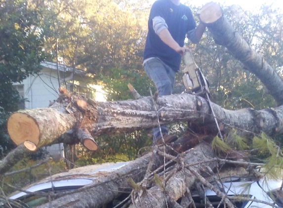 Big Bend Tree Service - Tallahassee, FL