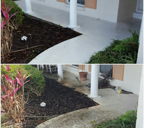 Alex Pro Pressure Washing - Orlando, FL