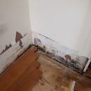 Prime Aire Mold Services - Mold Remediation