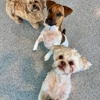 Bayside Pet Resort gallery