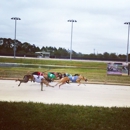 Daytona Beach Kennel Club and Poker Room - Night Clubs