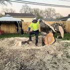 A Tree's Worth Tree Care