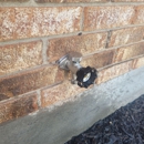 Empire State Plumbing Inc - Plumbing-Drain & Sewer Cleaning