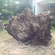 Hackney Tree Service