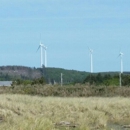 Grayland Beach State Park - Parks