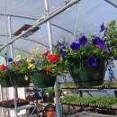 Shelby Nursery & Garden Center - Garden Centers