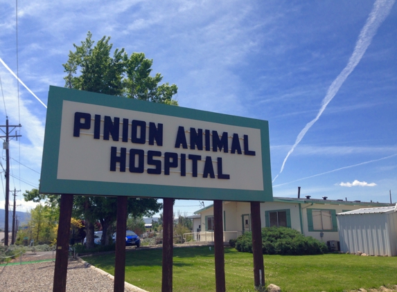 Pinion Veterinary Hospital - Reno, NV