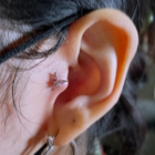 Baron Art Tattoo & Piercing Studio