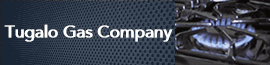 Business Banner