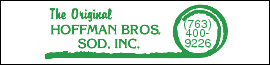 Business Banner